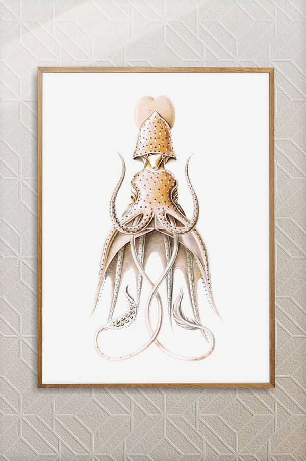 Vintage Wall Art - Squid Illustration Print I